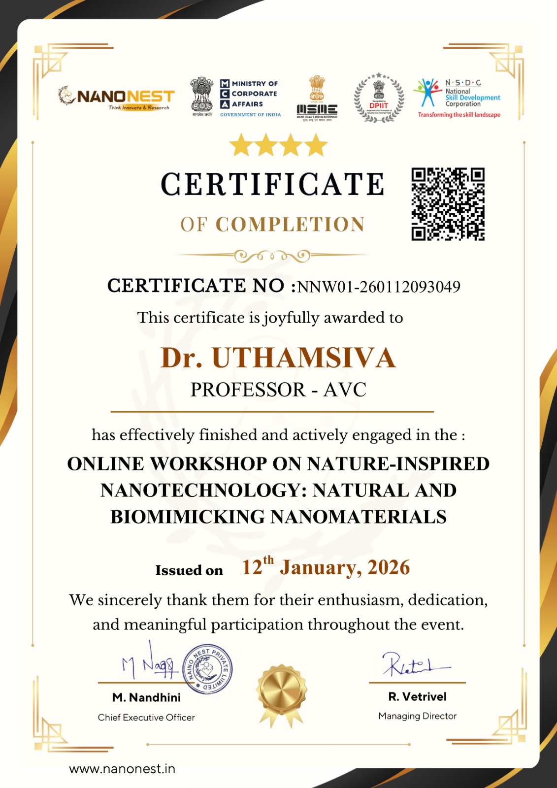 Professional Certification Model