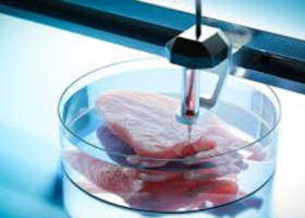 Bioinks for 3D Bioprinting: Nanoparticle-Containing Bioinks for Cell Culture Scaffolds and Artificial Organs