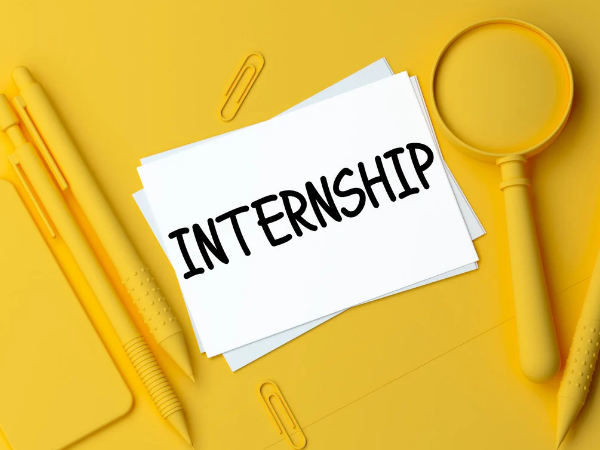 OFFLINE SUMMER INTERNSHIP