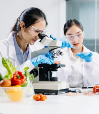 Green Synthesis of Nanoparticles using Green Tea